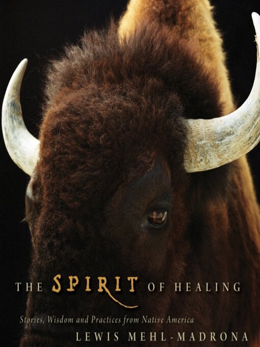 Cover image for The Spirit of Healing
